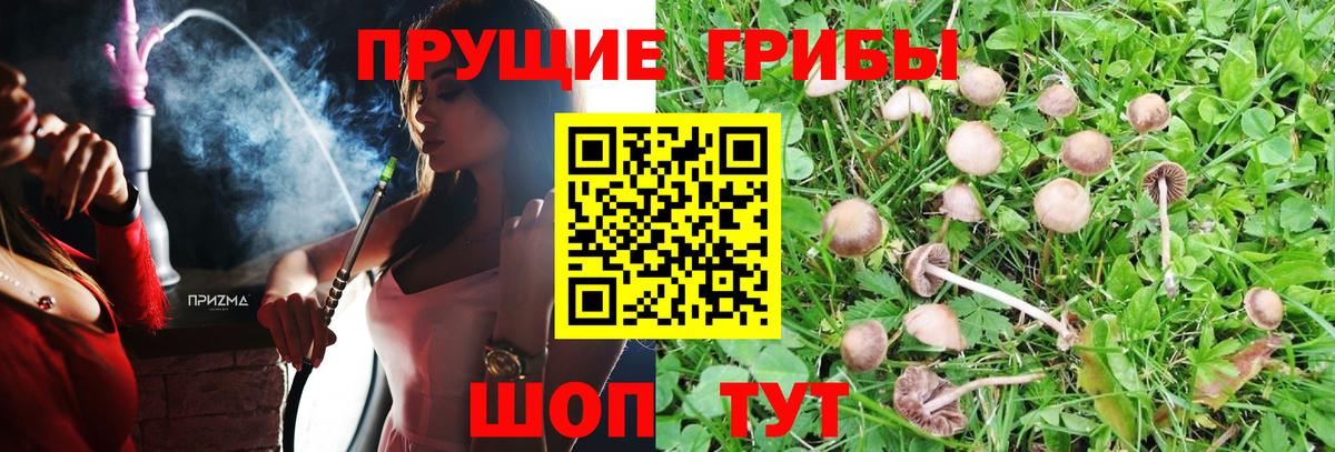 Галлюциногенные грибы мицелий  Вход с VPN  Котлас 