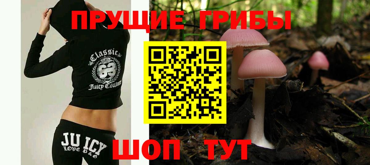 Псилоцибиновые грибы мухоморы Котлас